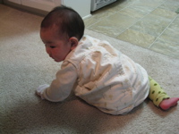 c0148627_8362877.jpg