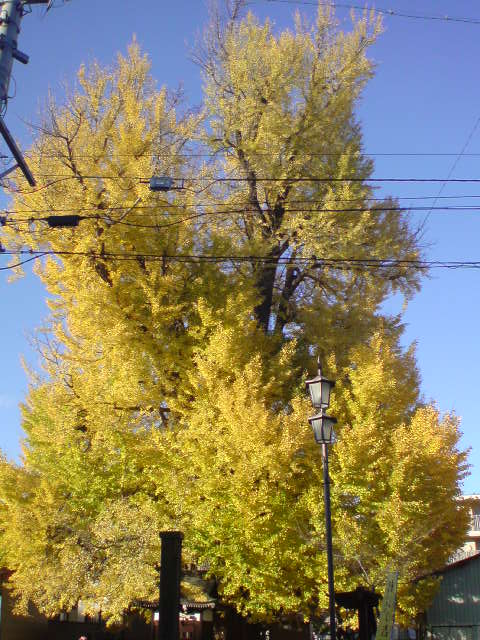 e0016828_2139256.jpg