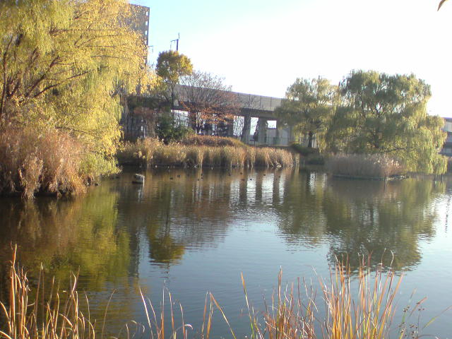 e0016828_2148247.jpg