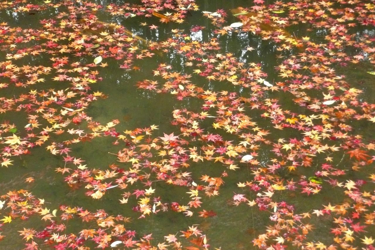 e0033229_23262523.jpg