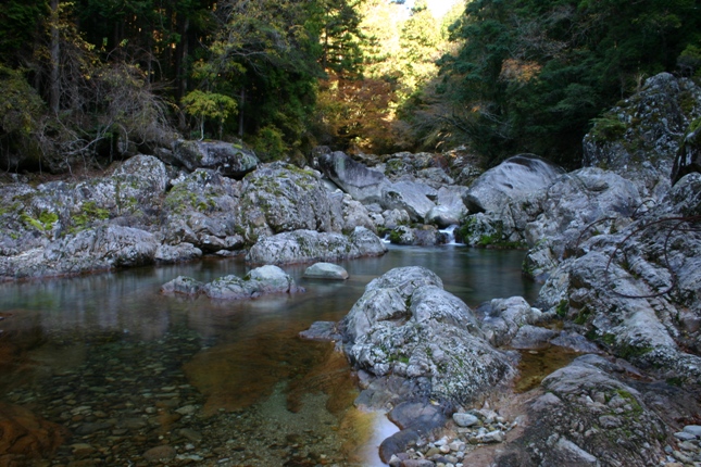 e0083238_2122646.jpg