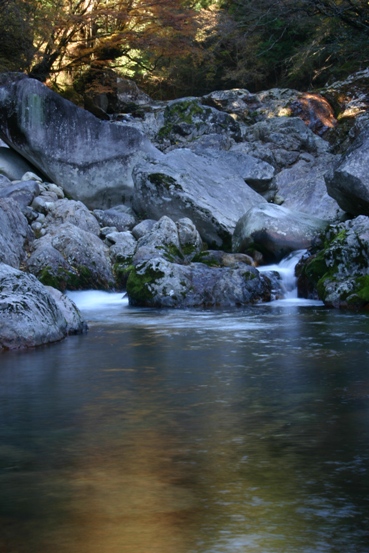 e0083238_2125966.jpg