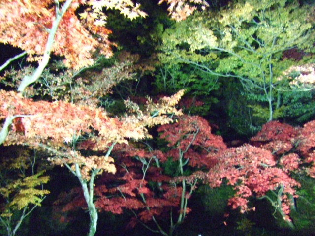 d0150739_17523346.jpg