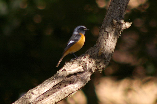 b0043440_22463649.jpg