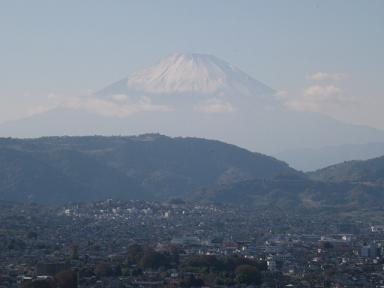 f0005043_1958417.jpg