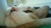 c0052756_01716.jpg