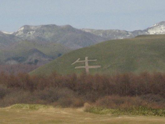 c0117058_10405830.jpg