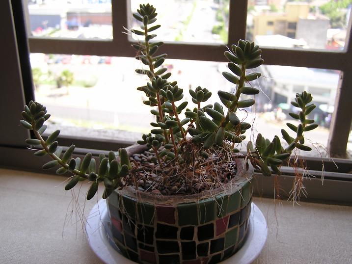 c0103368_2320992.jpg