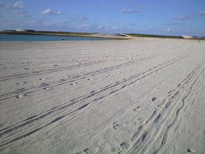 c0139375_15125923.jpg