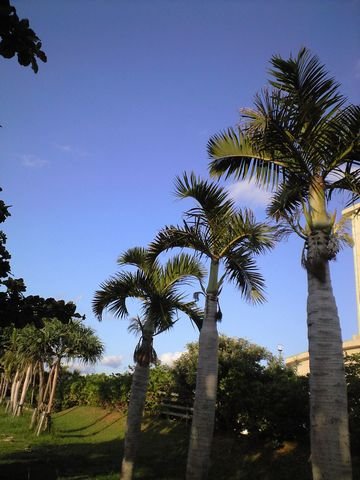 c0139375_15143612.jpg
