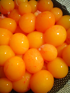 f0056476_1252856.jpg