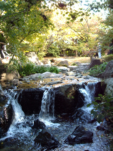 d0151478_17123286.jpg