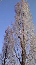 f0098680_20325784.jpg