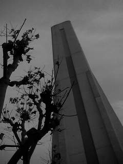 f0100480_1702885.jpg