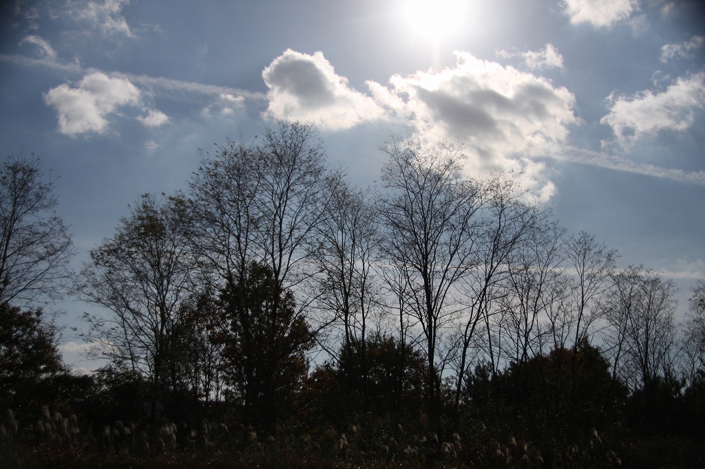 e0024081_14463934.jpg