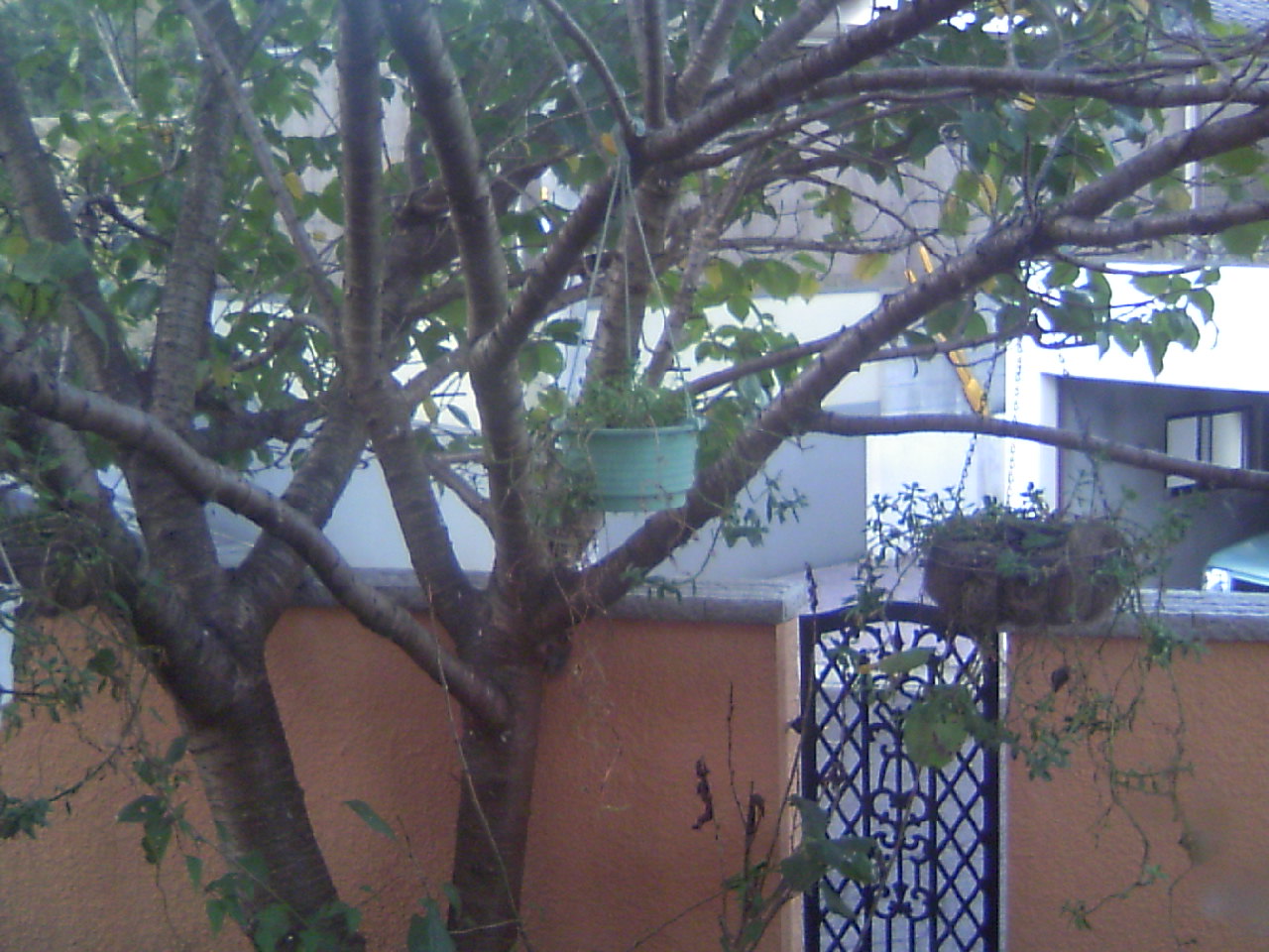 b0135992_1017610.jpg