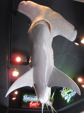 c0096393_0352770.jpg