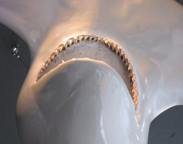 c0096393_0375150.jpg