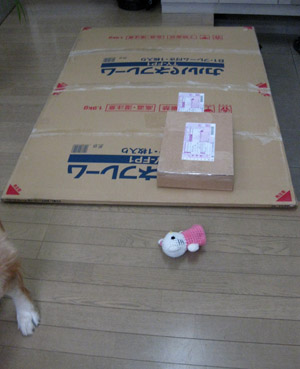 c0096393_1301363.jpg