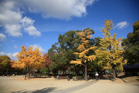 f0103797_21305660.jpg