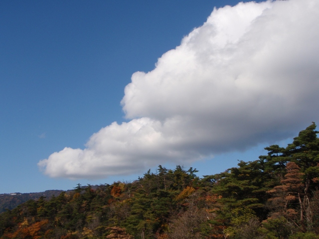 c0147398_1291833.jpg