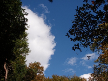 c0147398_1294187.jpg