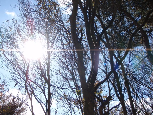 c0147398_1302891.jpg