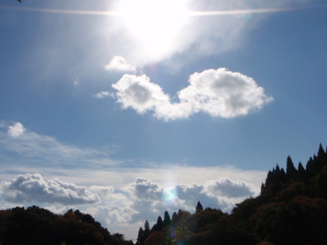 c0147398_130375.jpg