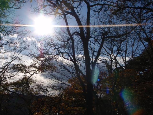 c0147398_131123.jpg