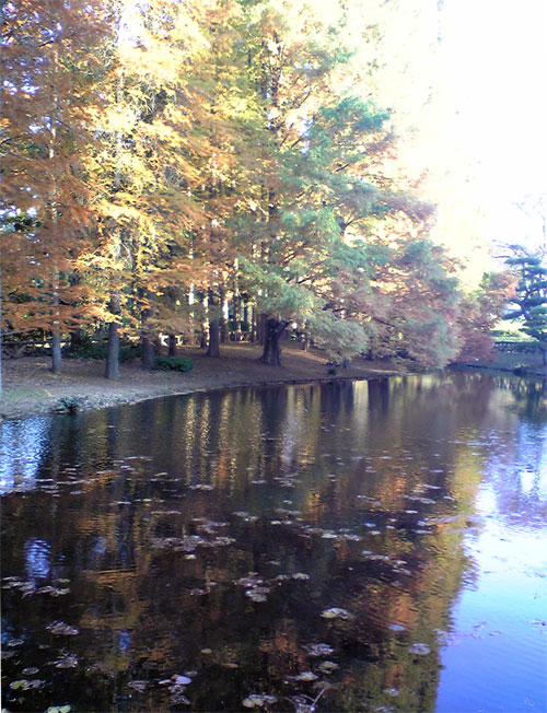 a0029899_8154.jpg