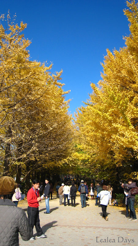 b0000801_22305786.jpg