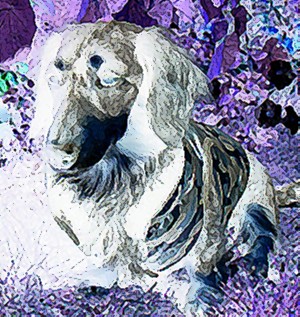 e0007801_14375120.jpg