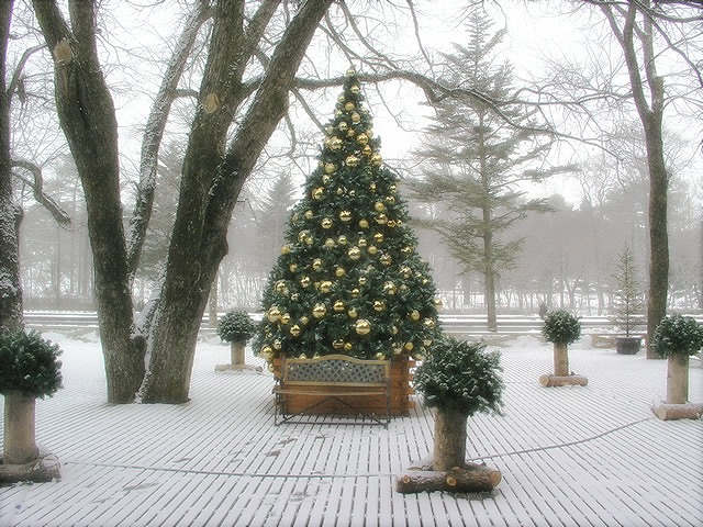 f0147602_14475633.jpg