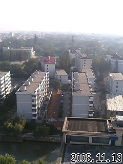 f0187402_1081598.jpg
