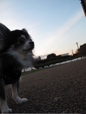 a0079803_18334.jpg