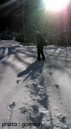 b0061004_1701770.jpg