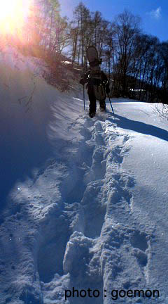 b0061004_170455.jpg