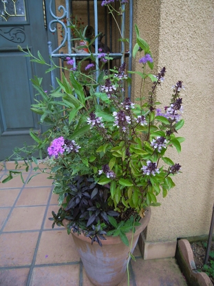 f0065604_1656261.jpg