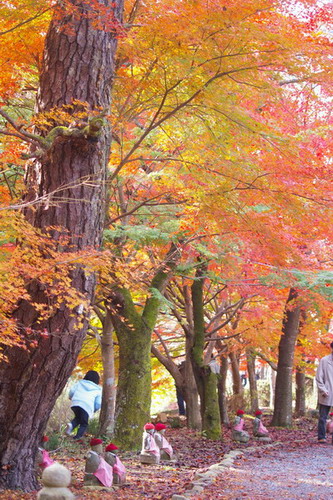 b0052108_0512715.jpg