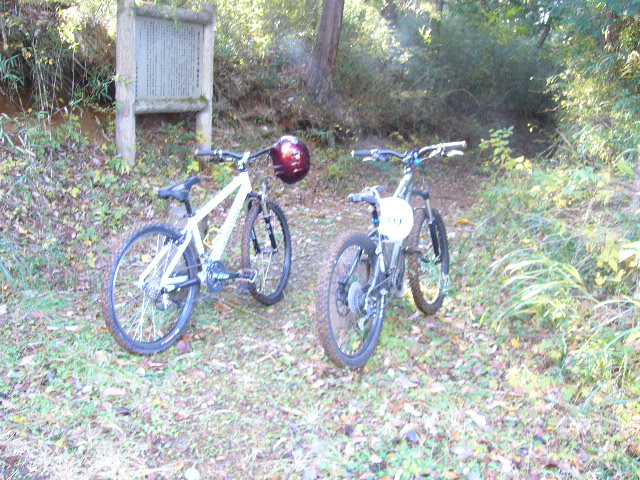 e0015108_23412582.jpg