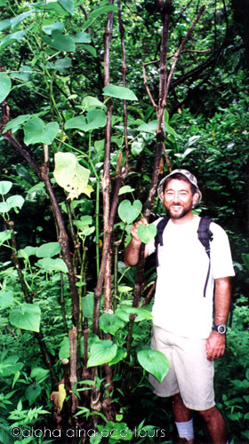 c0127909_1248996.jpg