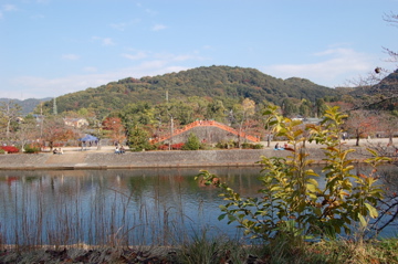 c0111017_20355793.jpg