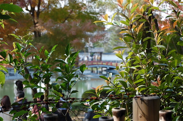 c0111017_20583183.jpg