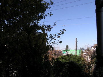 f0128723_291428.jpg
