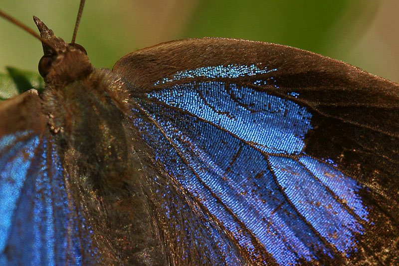 d0089024_12554449.jpg