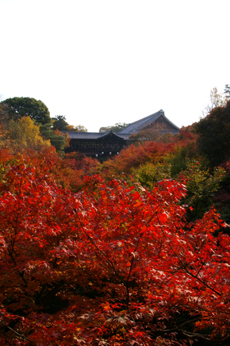 c0077129_23501340.jpg