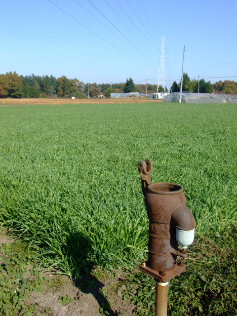 c0110930_22314070.jpg