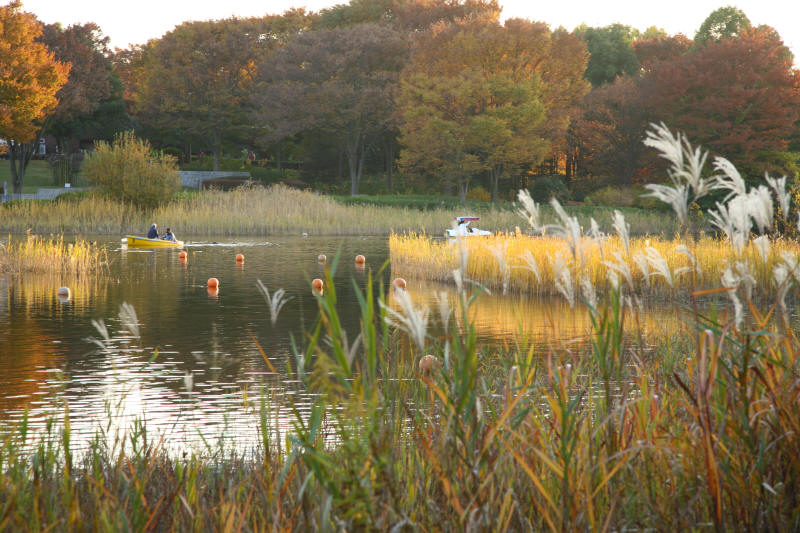 f0017530_2223238.jpg