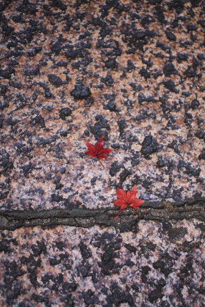 f0140130_18561490.jpg