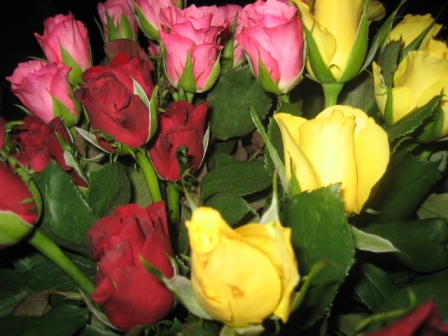 c0141431_23341074.jpg